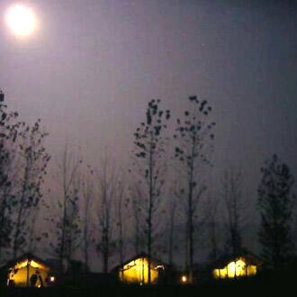 Corbett Village Camp, Corbett 4